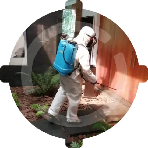 Fumigación de restaurante