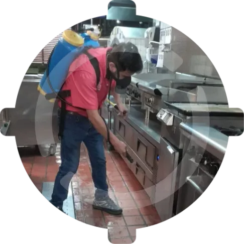Fumigación de restaurante