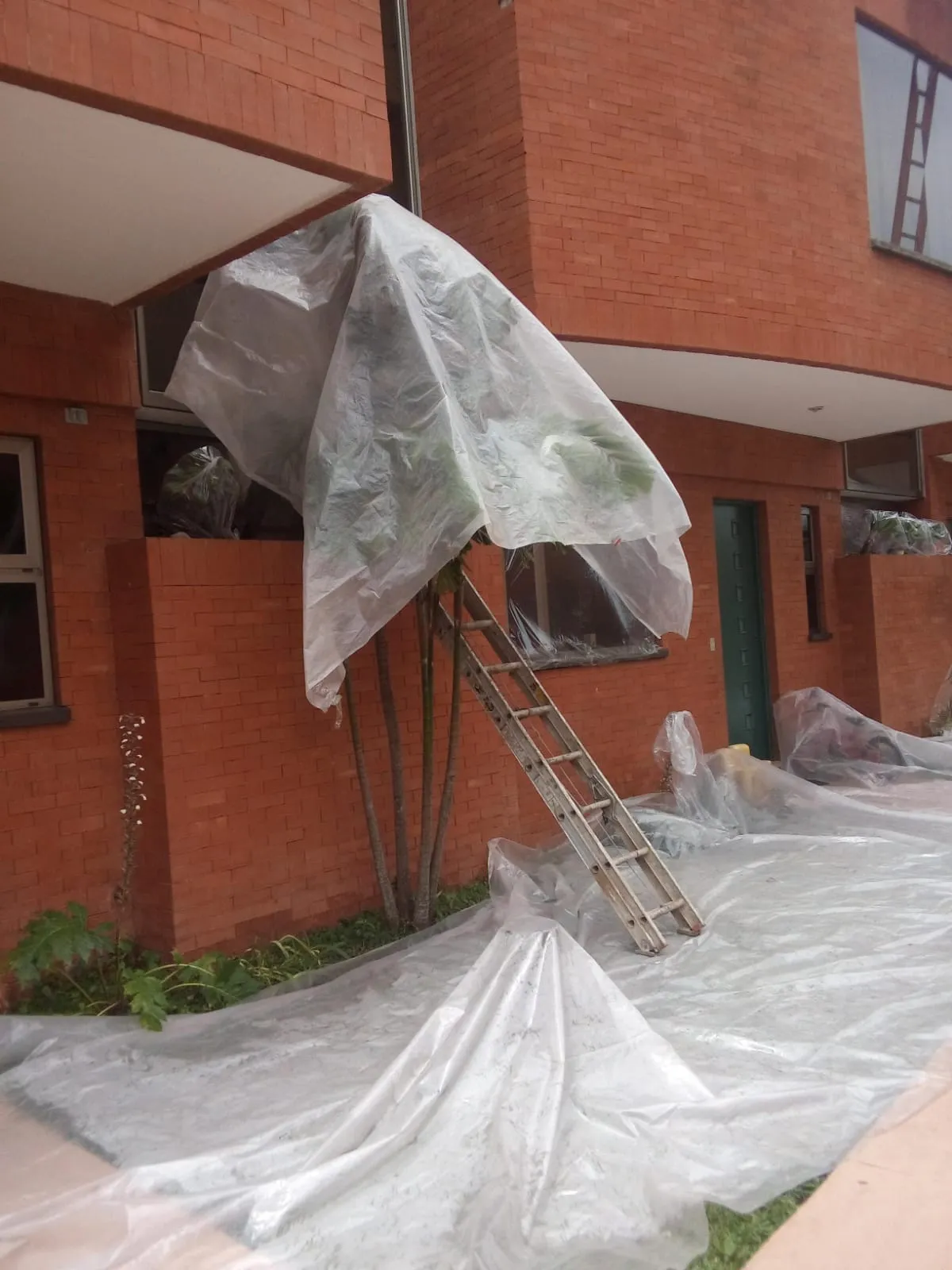 Impermeabilización y Pintura 10