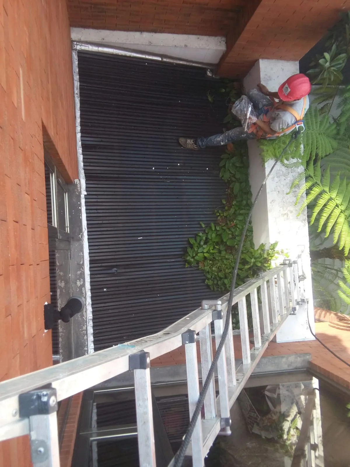 Impermeabilización y Pintura 1