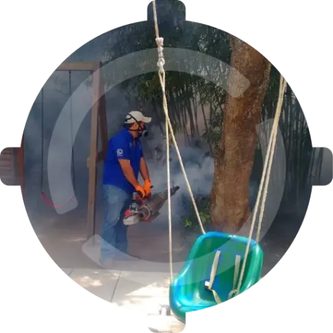 Preguntas frecuentes