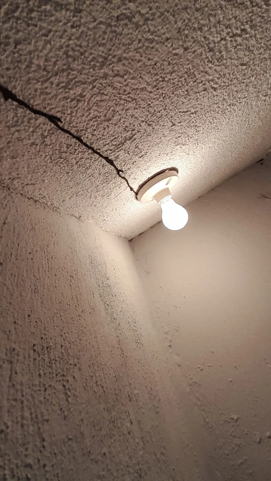 Consecuencias de termitas