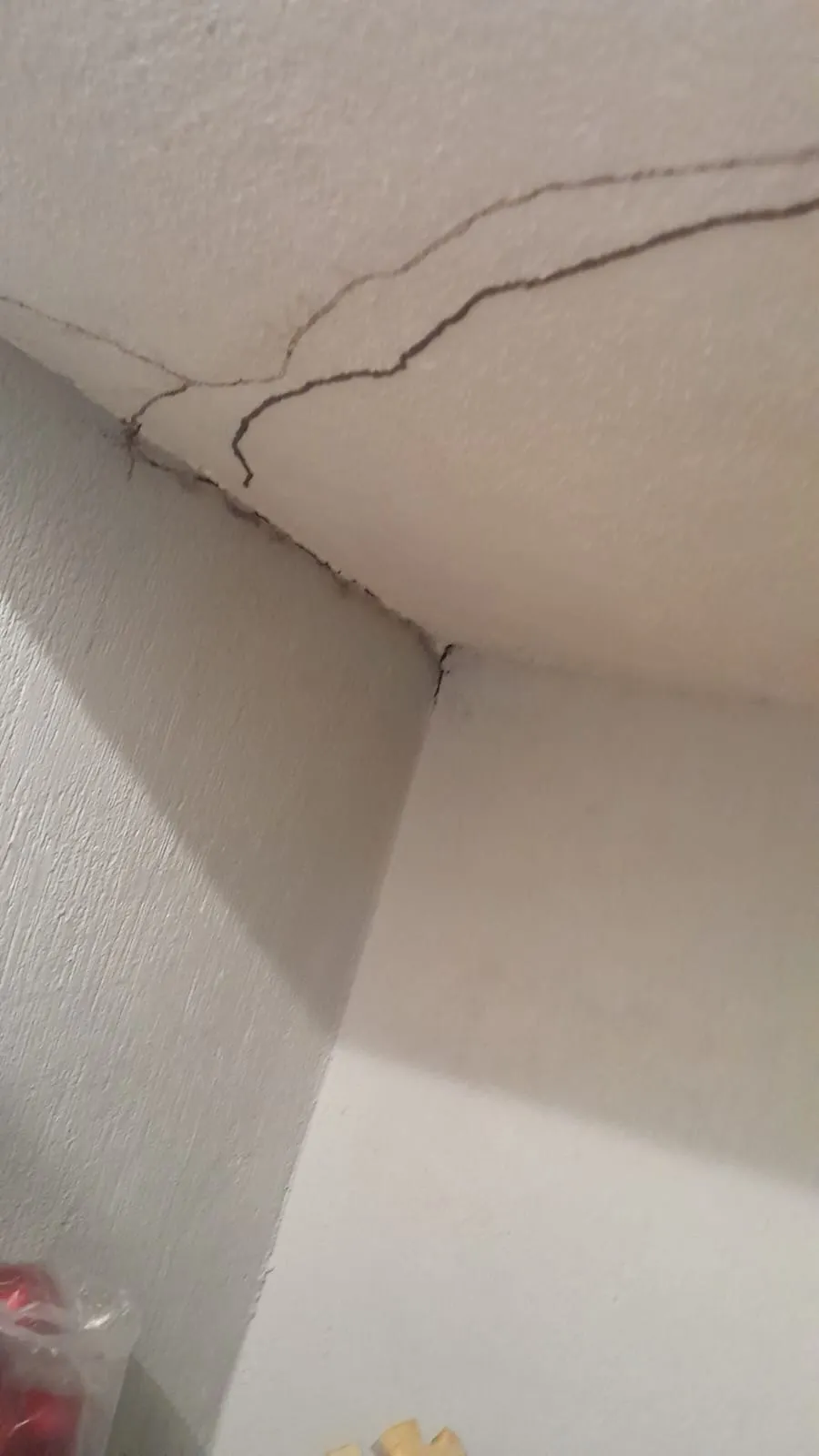 Consecuencias de termitas